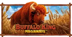 ภาพเกม Buffalo King Megaways ที่ nolimit88 รวบรวมไว้